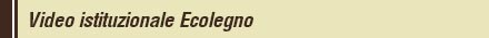 Video istituzionale Ecolegno